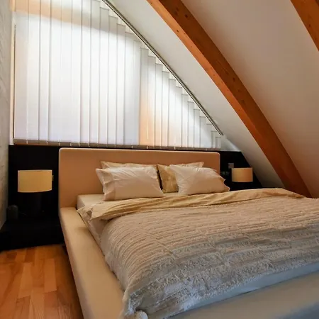 Apartment Okruzni *
