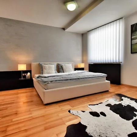 Okruzni Apartment