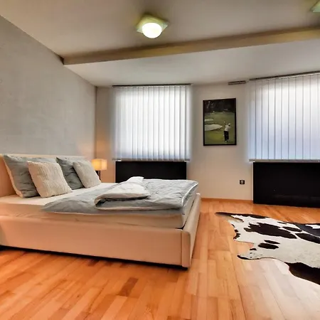 Okruzni Apartment *